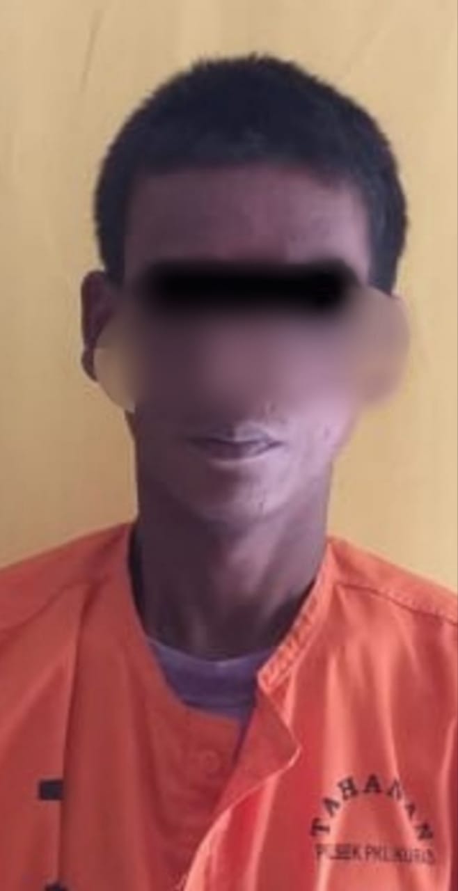 Polsek Pangkalan Kuras Amankan Satu Terduga Pelaku Curanmor