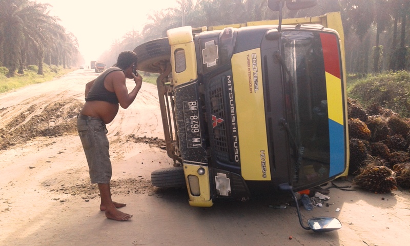 Truk Pengangkut Sawit Terbalik, Supir Panik