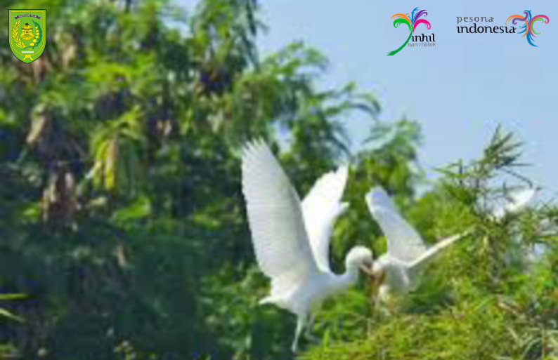 Keunikan Pulau Basu Menjadi Surga Bagi Flora dan Fauna Langka