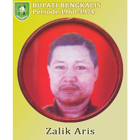 Sempena Hari Jadi ke-61 Provinsi Riau, Mantan Bupati Bengkalis Terima Gelar Pejuang Daerah Riau