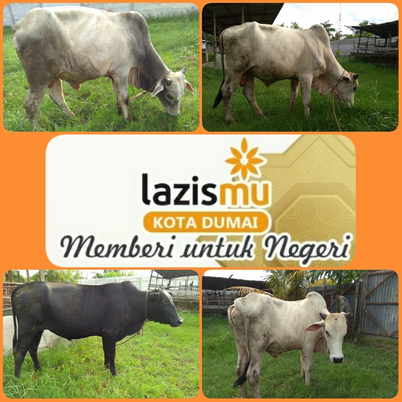 Ayo Berkurban Melalui Lazismu Dumai