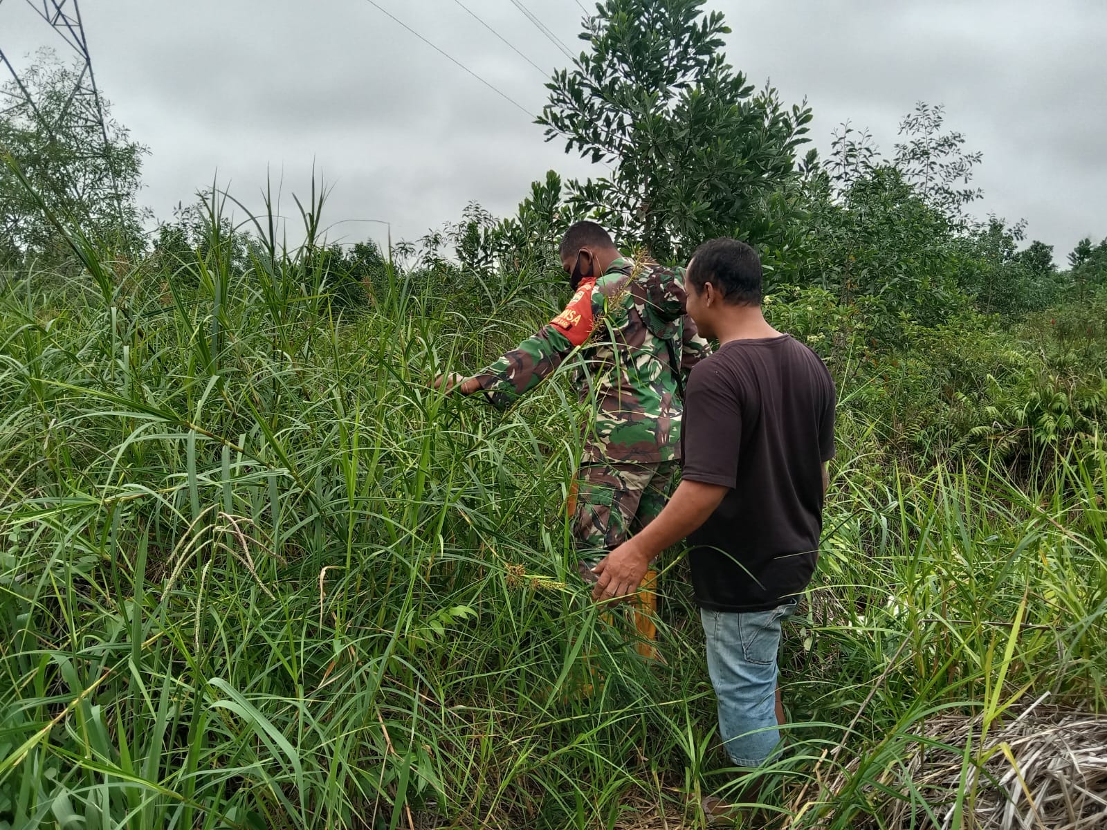 Babinsa Kelurahan Mekarsari Laksanakan Patroli Cegah Karhutla