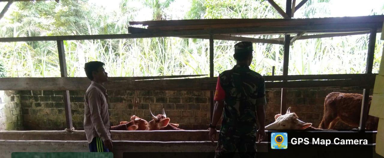 Serda Sugianto Berikan Edukasi Kepada Peternak