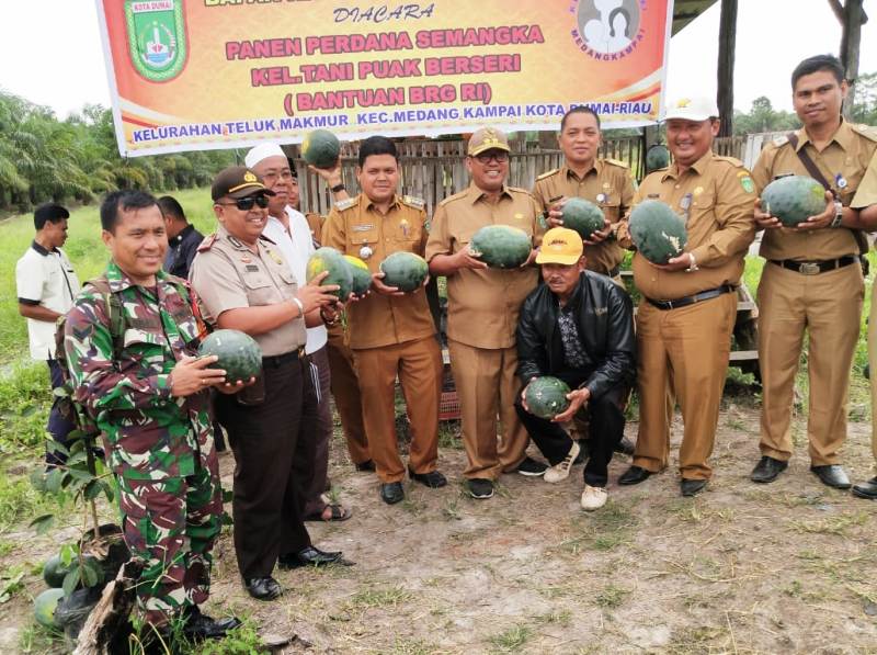Wawako Panen Perdana Semangka Poktan Puak Berseri, Babinsa Teluk Makmur Ikut Dampingi