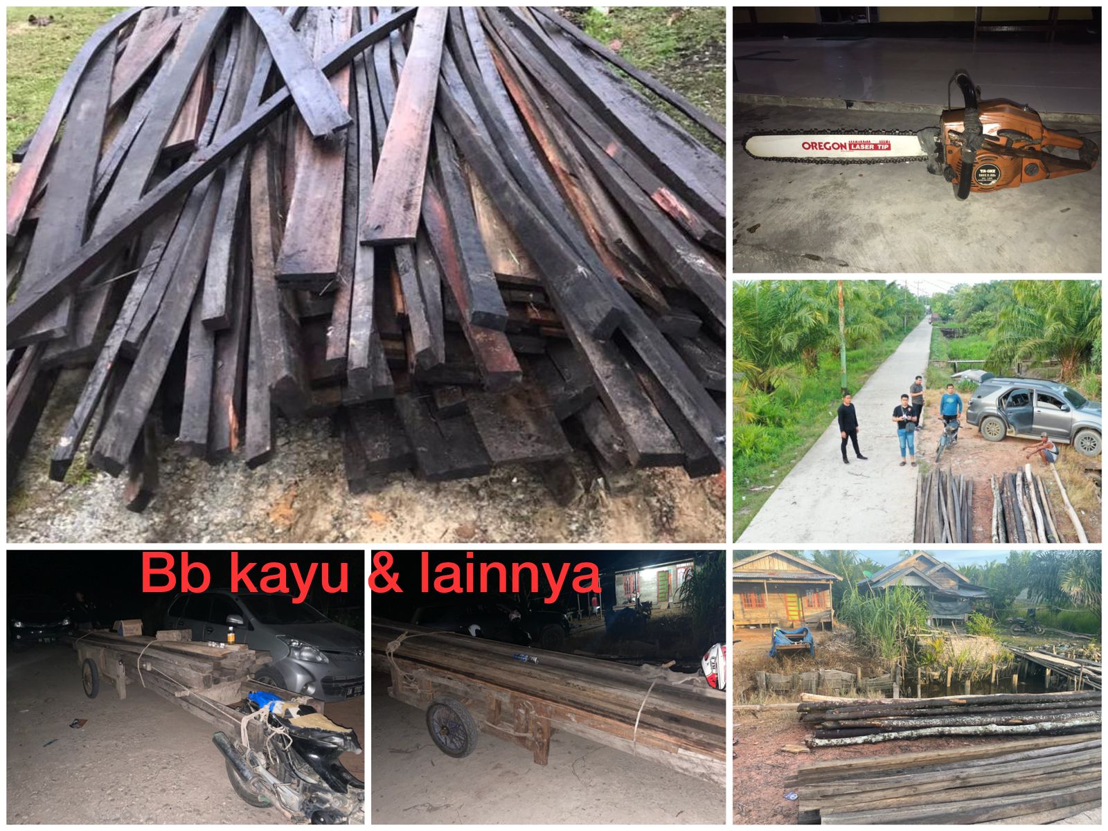 Tidak Memiliki Dokumen Sah, Dua Pria Pengangkut Kayu Olahan Dibekuk Polisi Rohil