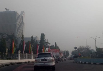 Karhutla Terus Terjadi di Riau, Tiga Daerah Ini Diselimuti Kabut