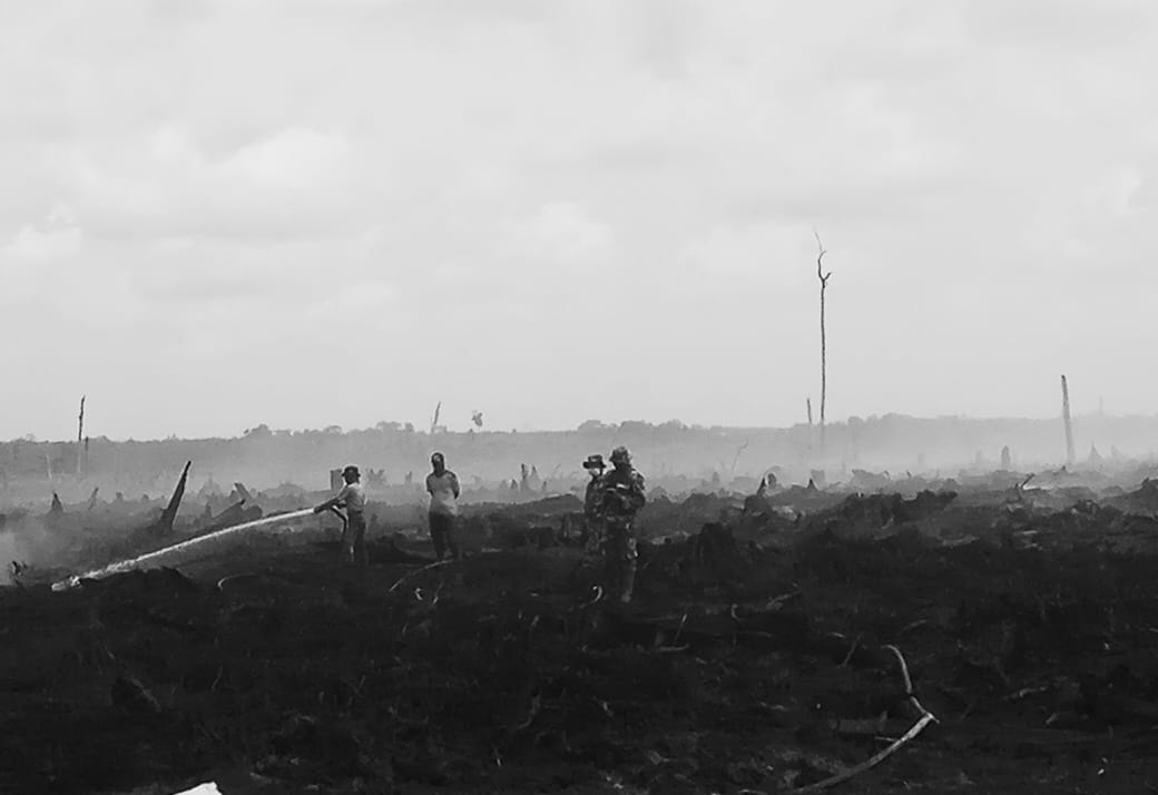 Kejari Pelalawan Serahkan Berkas Perkara Karhutla PT Adei Plantation ke Pengadilan Negeri