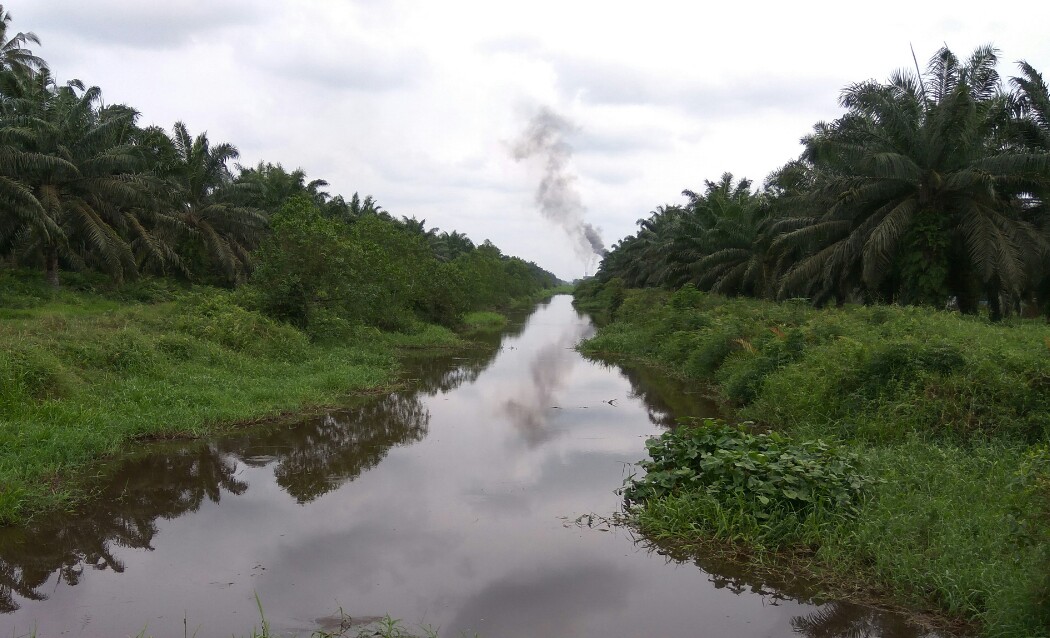 Konon, Kanal di Bagan Jaya Inhil Ini Ada Istana Alam Ghaib