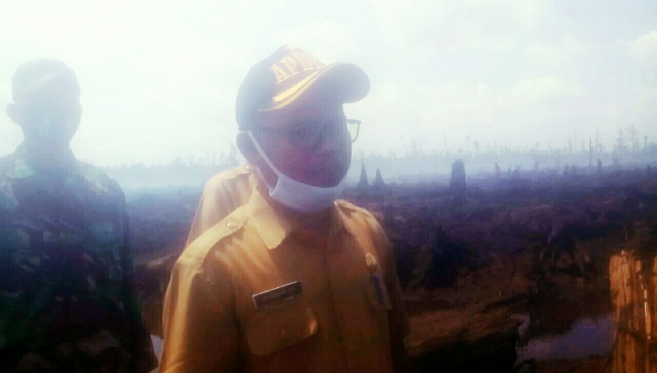 Karhutla di Bunut, Pelalawan Telah Padam
