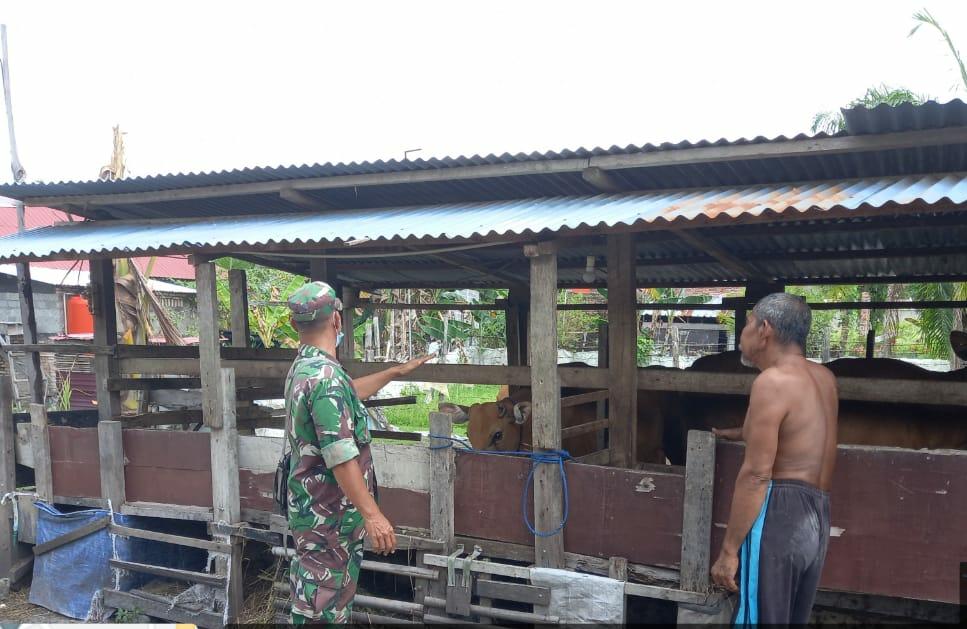 Penggalakan Antisipasi PMK Terus Dilakukan
