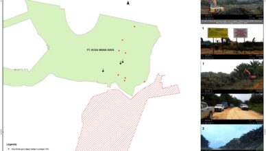 Pasca Eksekusi Lahan 3.323 Ha, Jikalahari: Cabut Izin PT NWR