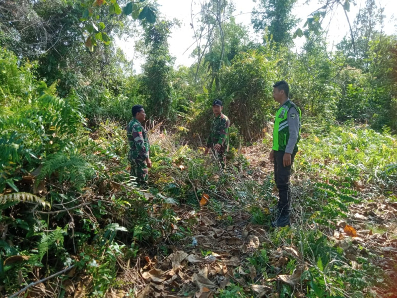 Giat Personil Koramil 06 Merbau Melaksanakan Monitoring Wilayah Cegah Karhutla
