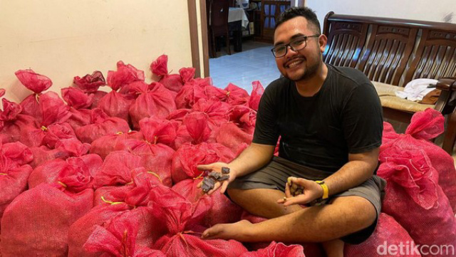 Mundur dari BUMN, Pria di Pekanbaru Ini Pilih Bisnis Kunyit Hitam