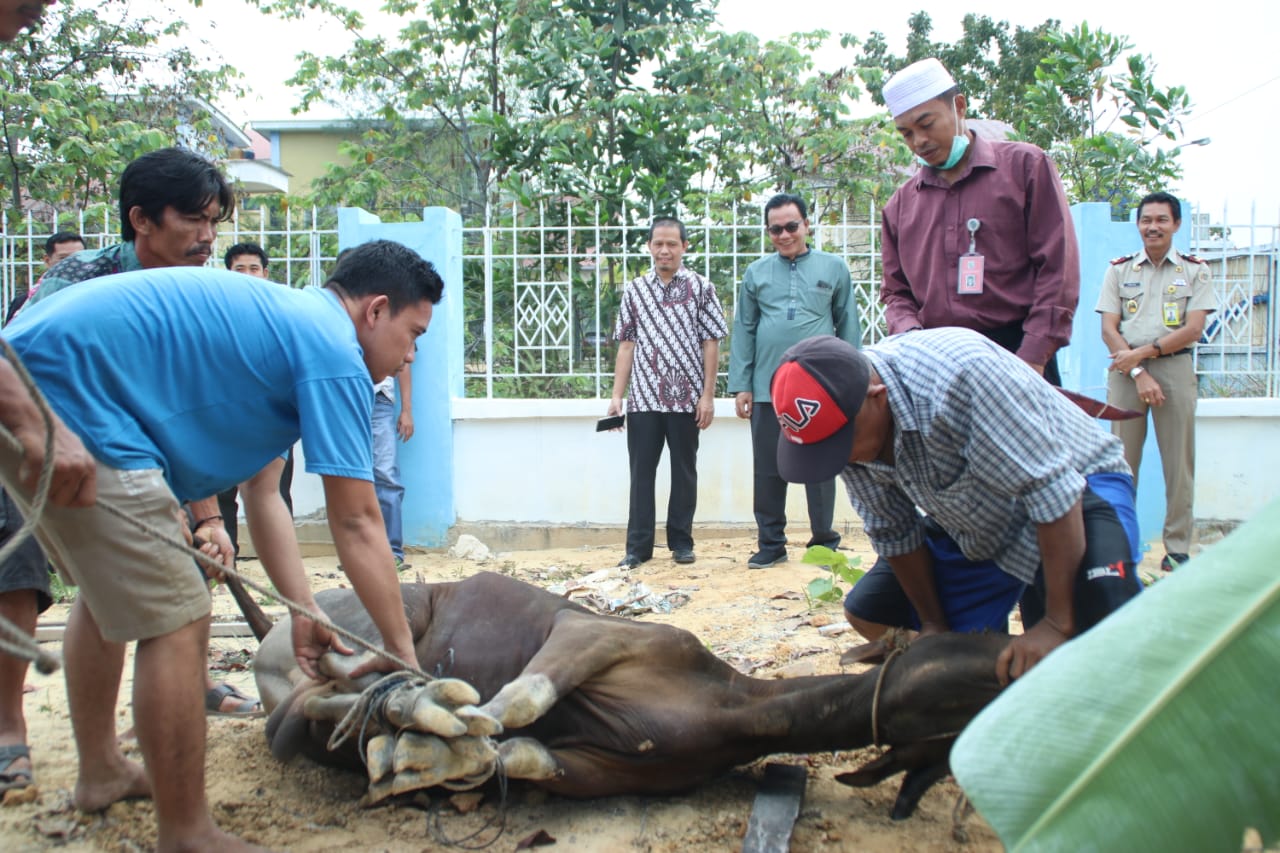 BPN Bersama IPPAT Pelalawan Laksanakan Kurban Potong 2 Sapi dan 3 Kambing
