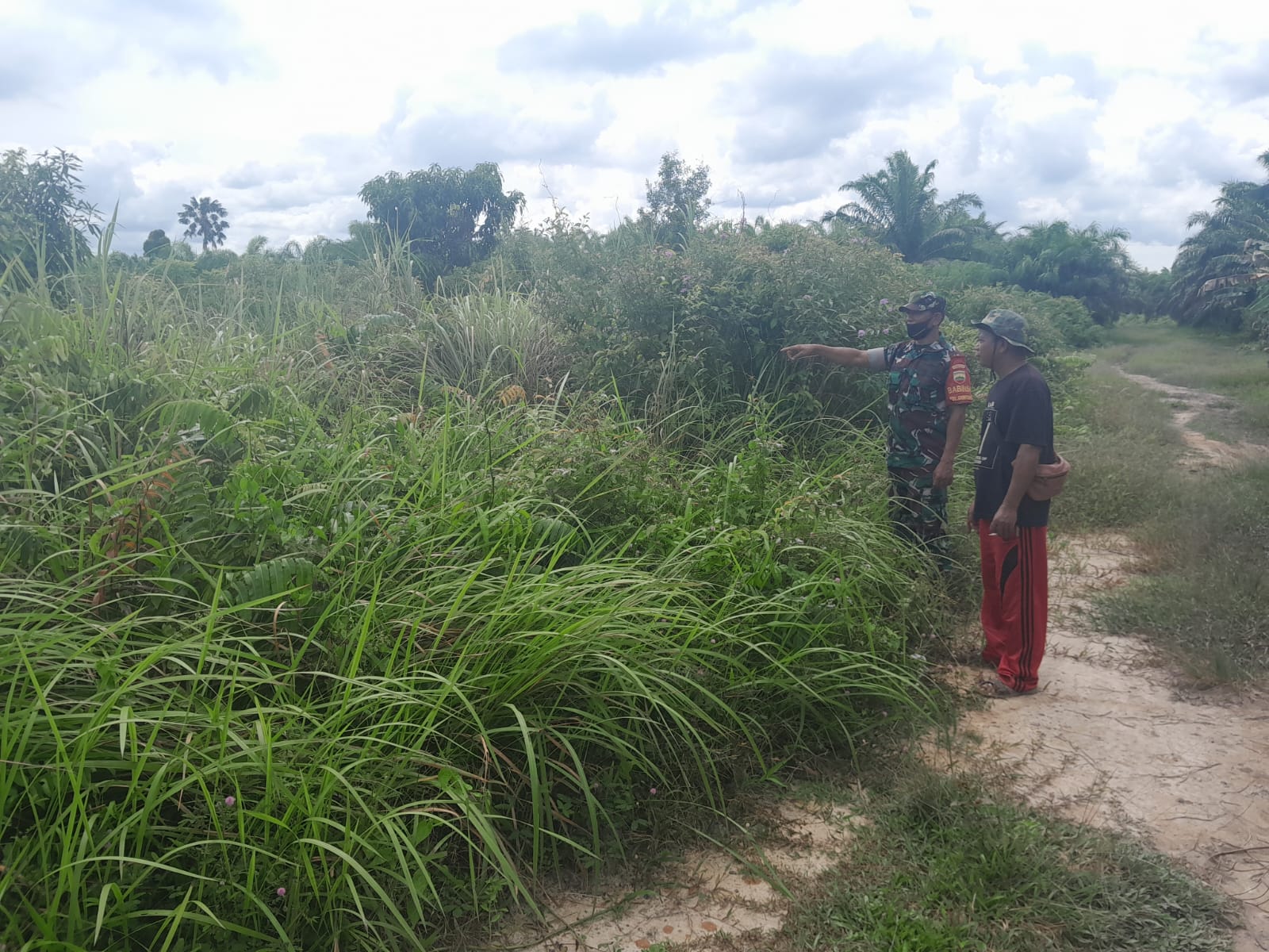 Giat Pencegahan Karhutla Oleh Babinsa Sertu Aslim Lubis