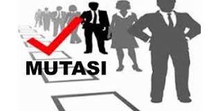 Terkait Isu Perombakan Kabinet, Walikota Dumai Diminta Profesional