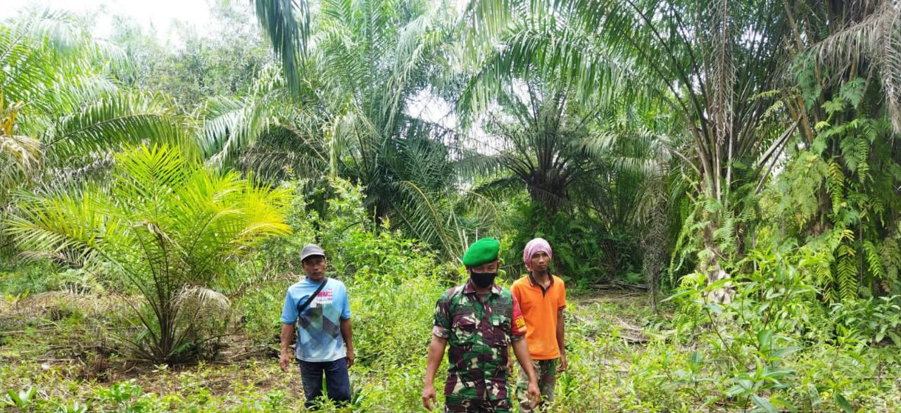 Sertu Abu Kasim Berharap Masyarakat Jangan Buka Lahan Dengan Cara Dibakar