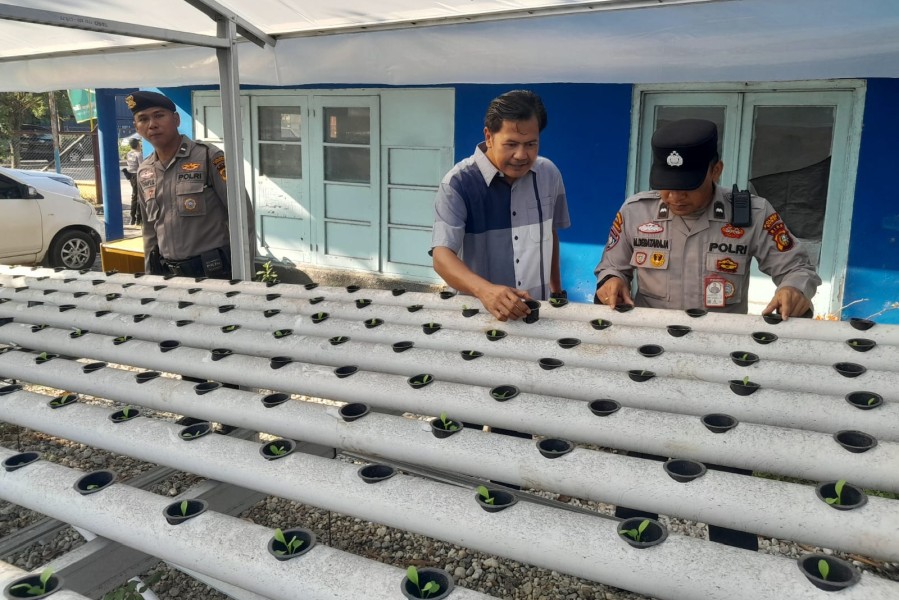 Polsek KSKP Dumai Cek Perkembangan Pakcoi Hidroponik Tahap III, Wujud Dukungan Ketahanan Pangan Nasional