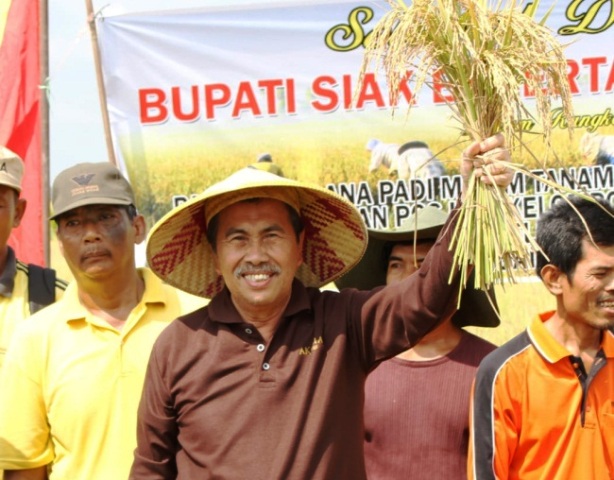 Pertanian Sungai Apit Berhasil, Syamsuar Bangga