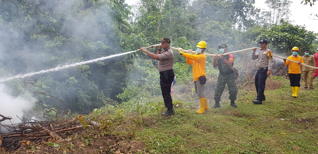 Karhutla di Rohul, Ratusan Personil Dikerahkan Padamkan Api 