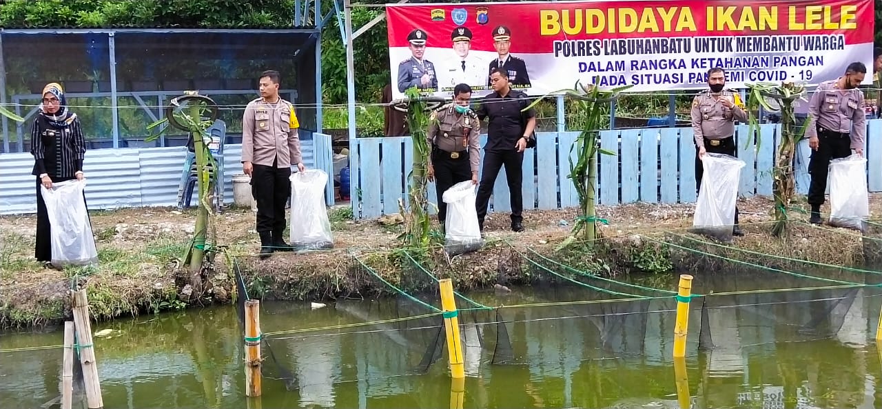 Bersama Kapolres Labuhanbatu, Lurah Aek Paing Hadiri Penaburan Benih Ikan Lele