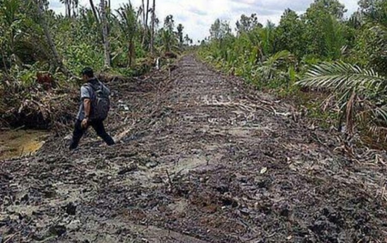 Progres Pembangunan Tanggul di Inhil Capai 40 Persen