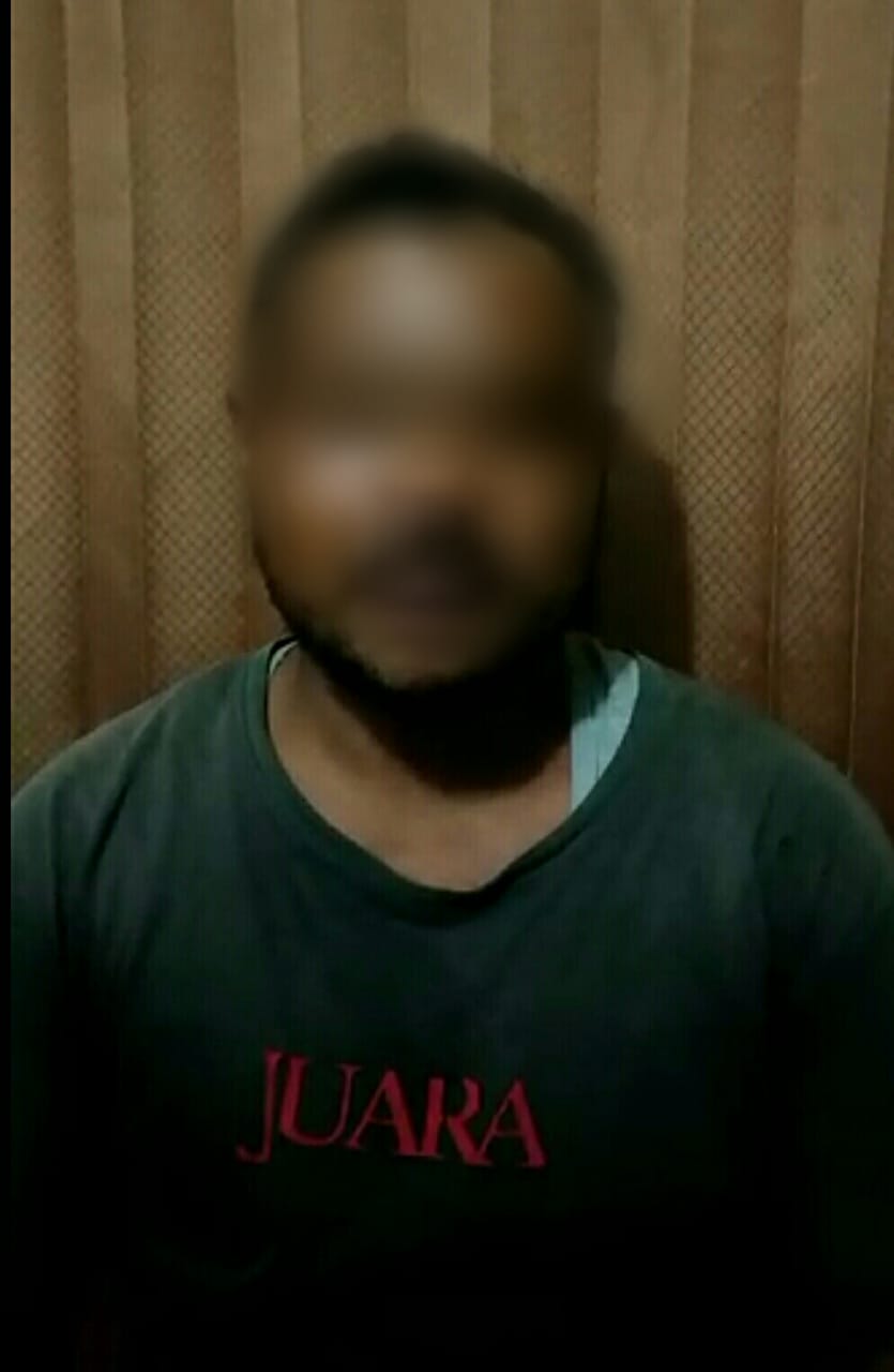 Heboh Penampakan Harimau di PT SBP ternyata Hoax