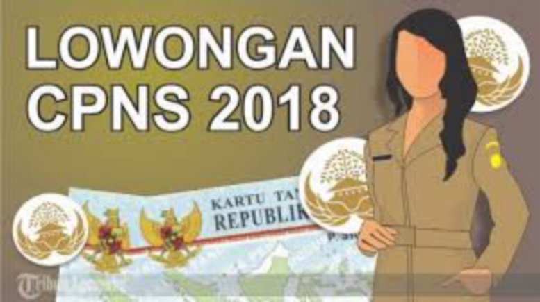 Pemkab Inhil Sudah Ajukan Formasi CPNS 2018