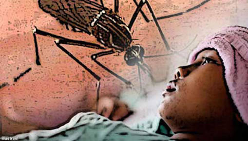 Enam Orang di Bengkalis Meninggal Dunia, Karena DBD
