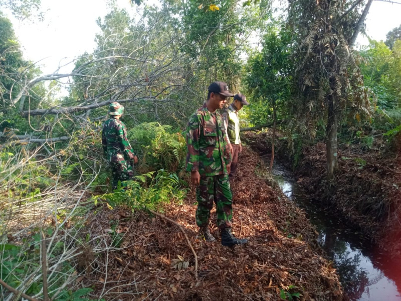 Patroli dan Sosialisasi Pencegahan Karhutla Oleh Babinsa Koramil 06 Merbau