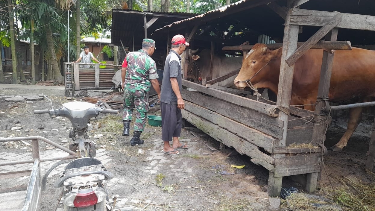 Serda Ahmad Junaidi Melaksanakan Giat Cegah PMK
