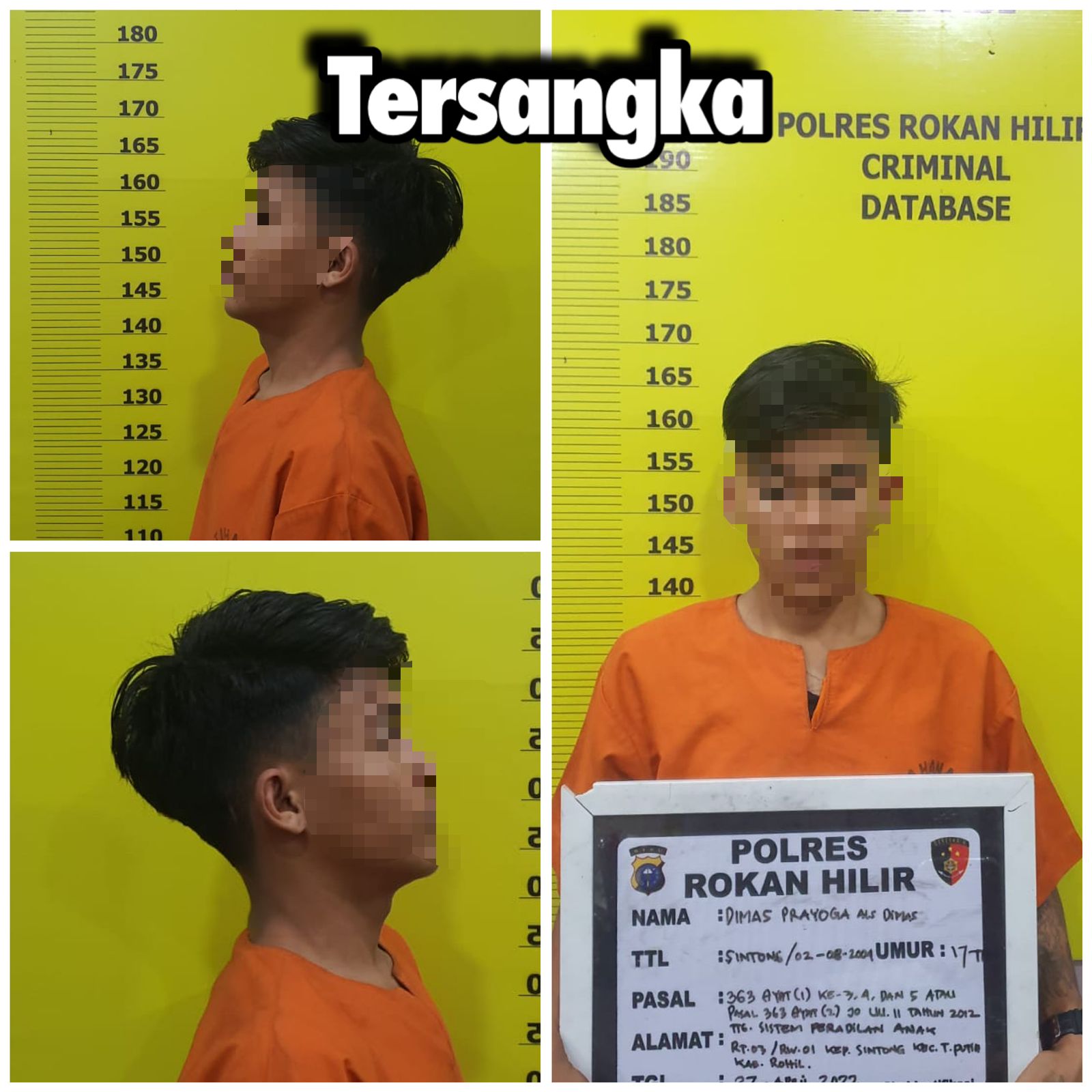 DPO Pencuri Pipa Minyak dan Kabel Milik Pertamina di Rohil Akhirnya Tertangkap
