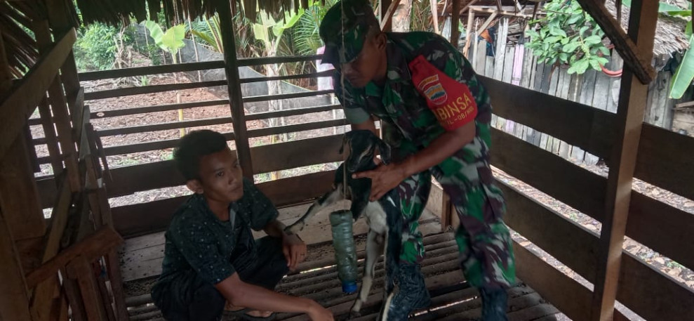Serda Edi Saputra Cek Langsung Kesehatan Hewan Ternak di Wilayah Binaannya