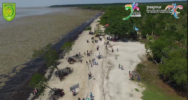 Ekowisata Hutan Mangrove Pulau Cawan Begitu Indah dari Udara