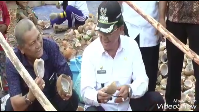 Penanaman Pohon Kelapa di Inhil